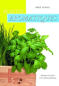 Plantes aromatiques. Comment les choisir et les cultiver facilement
