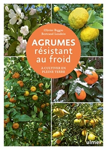 Agrumes résistant au froid - A cultiver en pleine terre - Dans toute la France